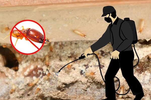 Safe Surroundings: Prioritizing Safety in Pest Control