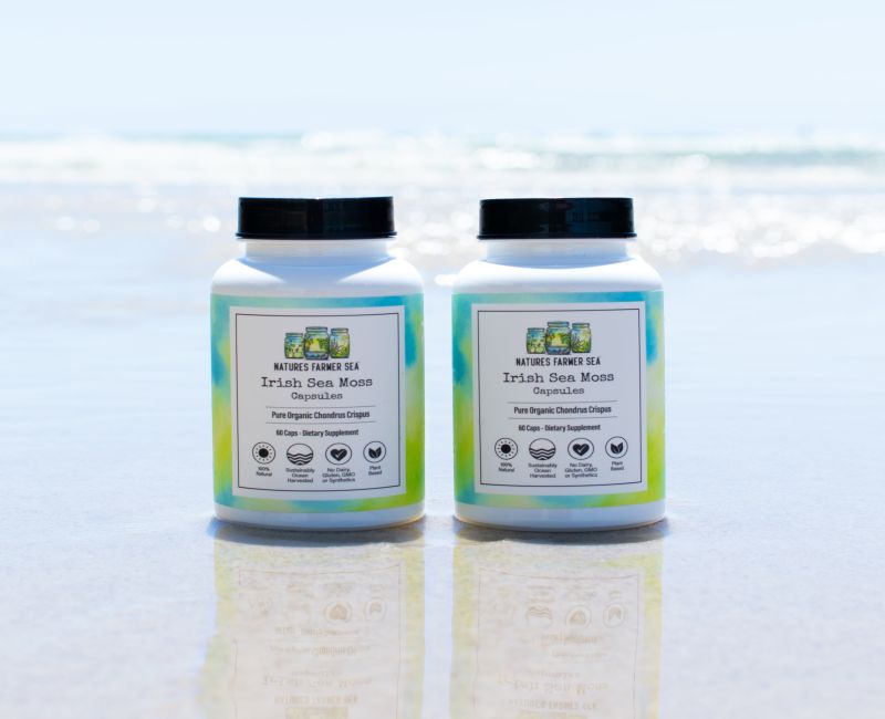 Sea Moss: A Journey to Health and Vitality