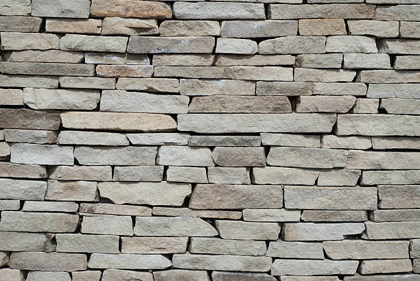 Scaling Success: Rock Wall Rental for Your Next Event